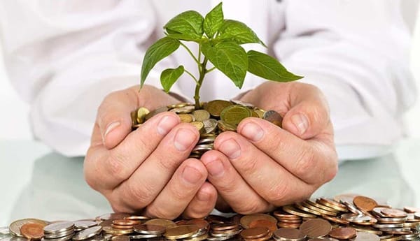  با سرمایه کم چه چیزی تولید کنیم؟ راهنمای راه‌ اندازی خط تولید پرسود خانگی 